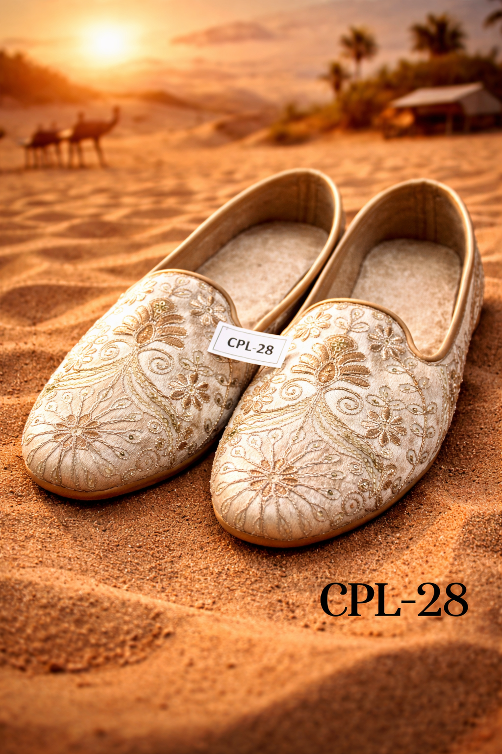 CPL30-MENS Foot Ware