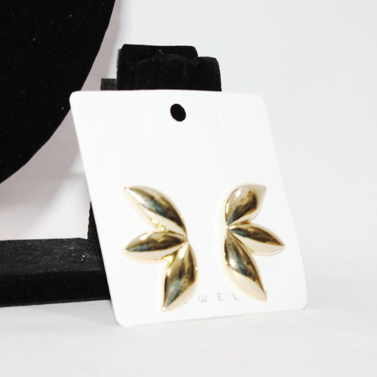 Earrings -