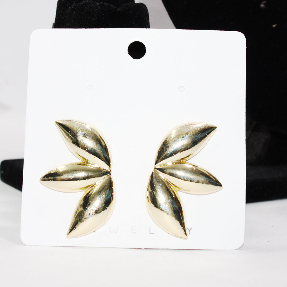Earrings -
