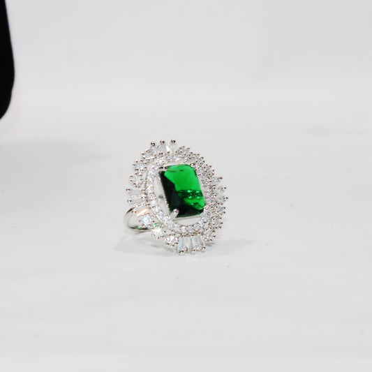 S03-1  RING