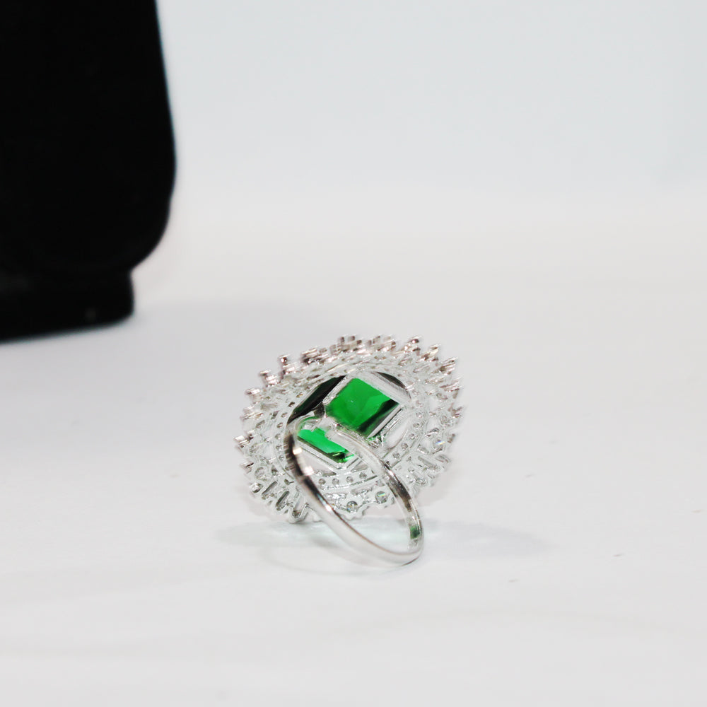 S03-1  RING